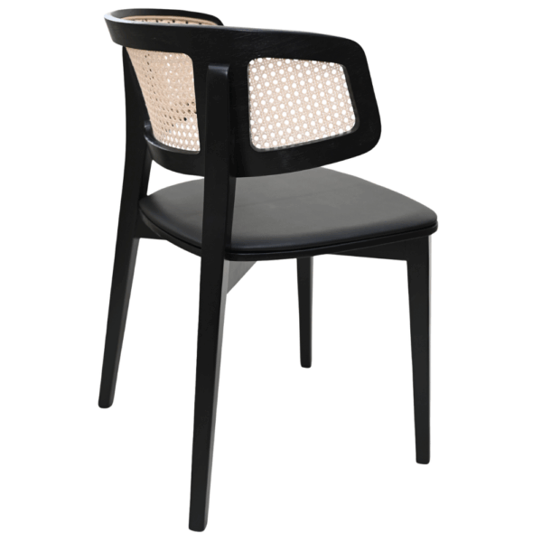 Dix Cane (2).png