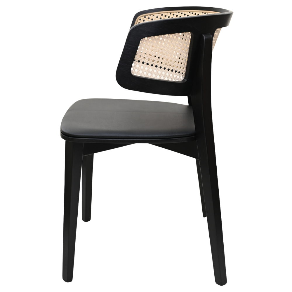 Dix Cane (3).png