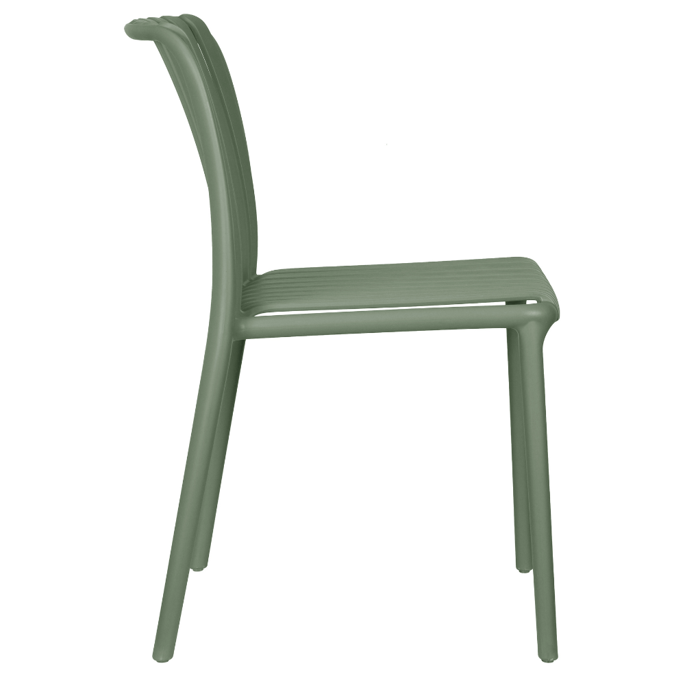 Bianca Olive 4.png